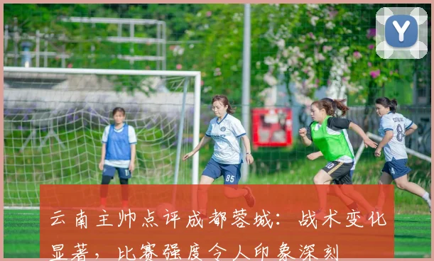 云南主帅点评成都蓉城：战术变化显著，比赛强度令人印象深刻